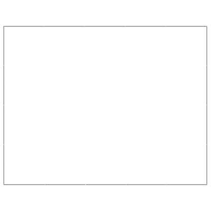 NNEVL Dog Kennel Silver 20 m² Steel